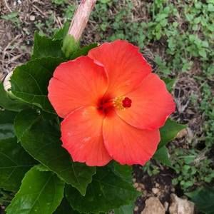 Meet your Posher, Beckie